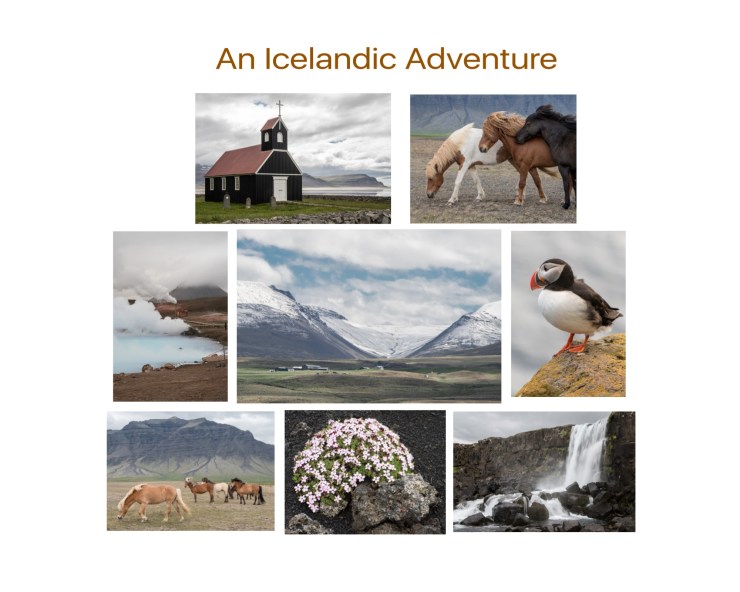 Daily Grind for FACEBOOK